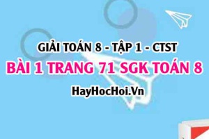 Giải bài 1 trang 71 Toán 8 Tập 1 SGK Chân trời sáng tạo